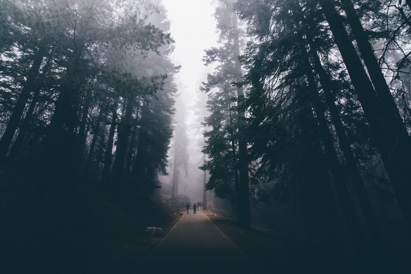 Sequoia National Park, California - 2
