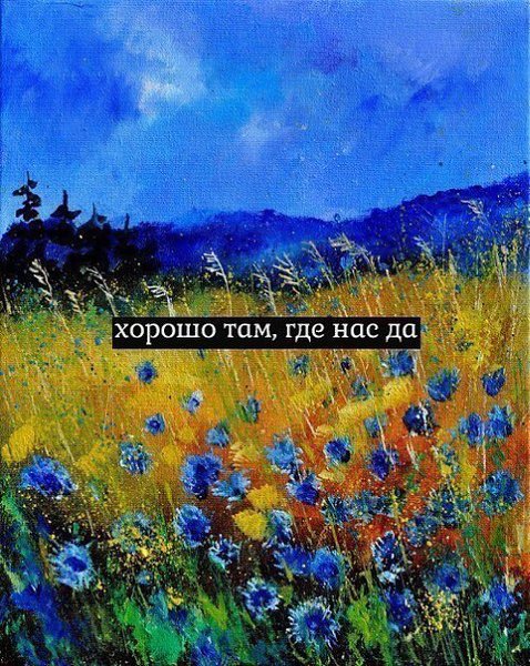 ��� ���� - 26 �������� 2015 � 19:01