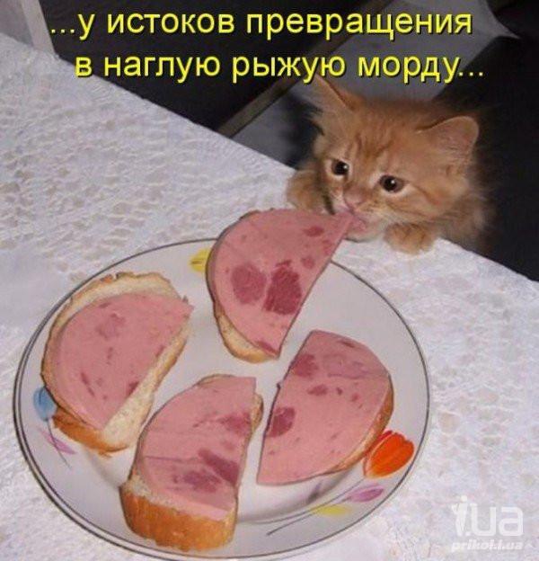   ! :) - 12  2015  15:35