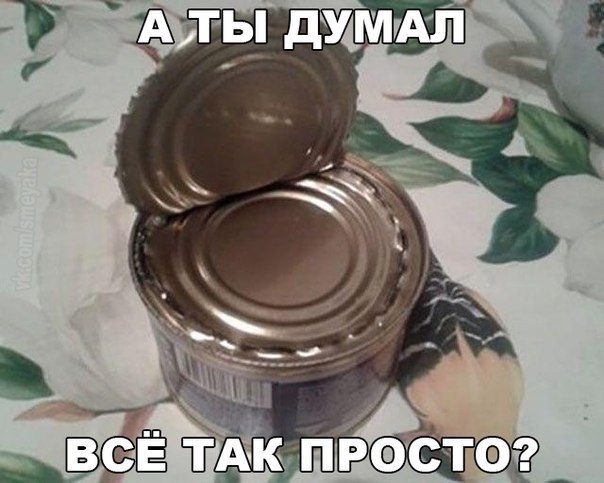   - 15  2015  13:08
