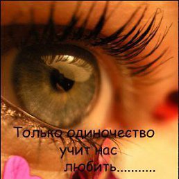 ���� Pavel913, ������, 42 ���� - ��������� 13 ������ 2016