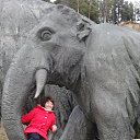 ���� �����, ���� - ��������� 19 ������ 2015 � ������ ���� ����������