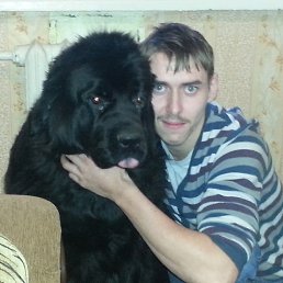 ���� �������, ���������, 37 ��� - ��������� 6 ������� 2016