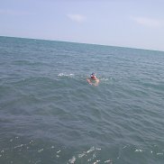 �����, 46 ���, �����