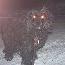 ���� �� ������� ���� �������