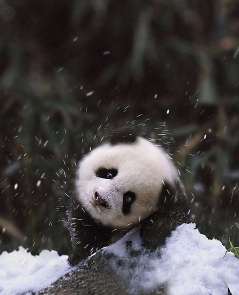 ,    . #@https://fotostrana.ru/away?to=/sl/XE2 - 2