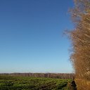  ,  -  9  2015   2015.11.08- 