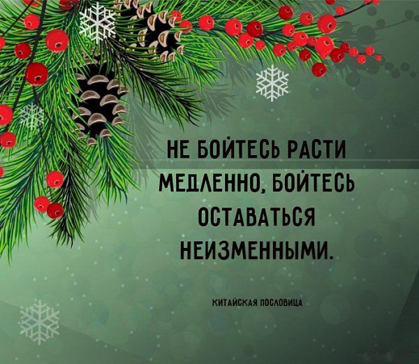    - 24  2015  08:37