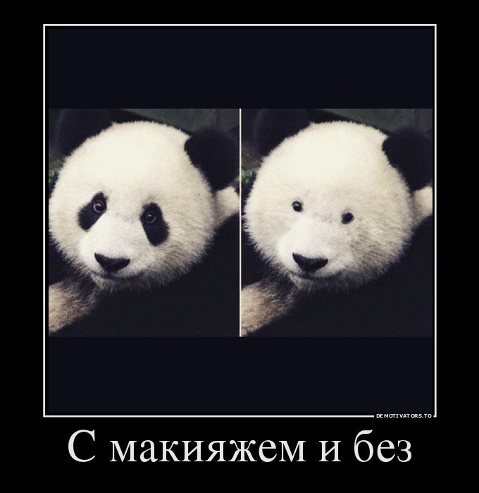   |  |  - 7  2015  11:40