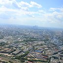 ���� �������, �������, 44 ���� - ��������� 8 ������ 2015 � ������ ���� ����������