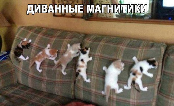    :-) - 5  2015  21:03