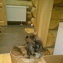 ���� ������, �����-���������, 50 ��� - ��������� 1 ������� 2015 � ������ ���� ����������