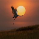  Svetlana, , 55  -  22  2015    