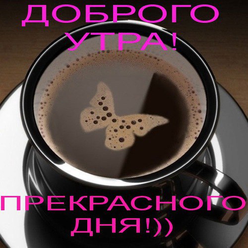   - 19  2015  04:54