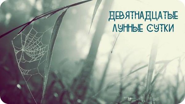 Лунный календарь.Девятнадцатые лунные суткиВоскресенье (29 ноября) с 19:59 до понедельника (30 ...