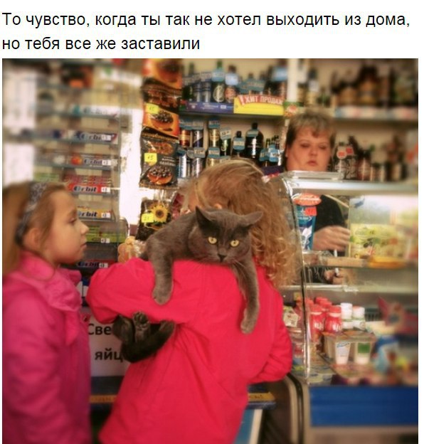  , .. - 6