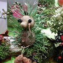 ���� ��������, �����-���������, 61 ��� - ��������� 21 ������� 2015 � ������ �������