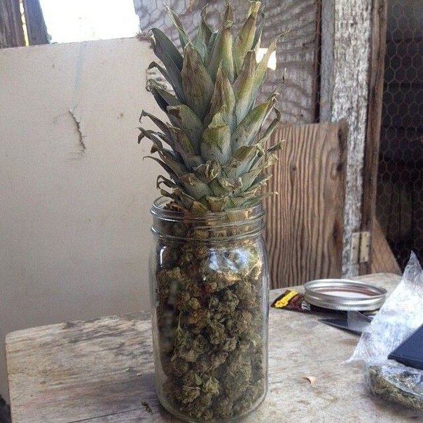  420,   - ...