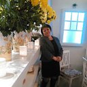 ���� �����, ���� - ��������� 31 ������� 2015 � ������ ���� ����������