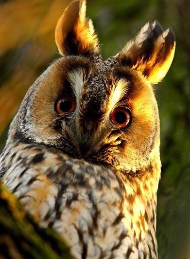   - 10  2015  13:07 - 4