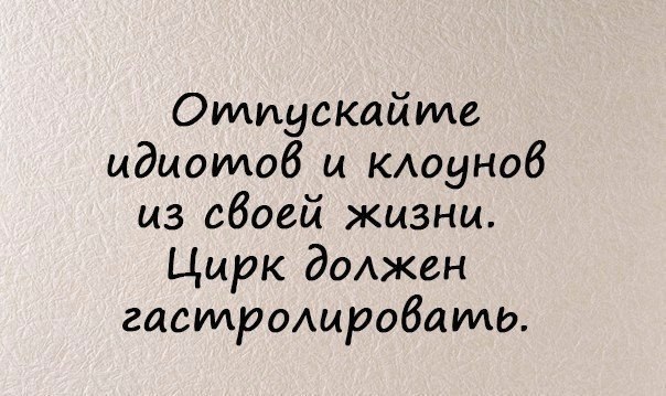   | , ,  - 16  2016  03:03