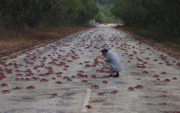    ,  crab bucket theory     .  , ...