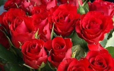 Если вы любите, а вас нет — отпустите. Если вас любят, а вы нет — оцените и присмотритесь. Если ... - 5