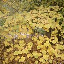 ���� �����, �����������, 55 ��� - ��������� 25 ������� 2015 � ������ ������ ��������