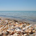 ���� �������, ������ ����� - ��������� 3 ������� 2015 � ������ ���� ����������