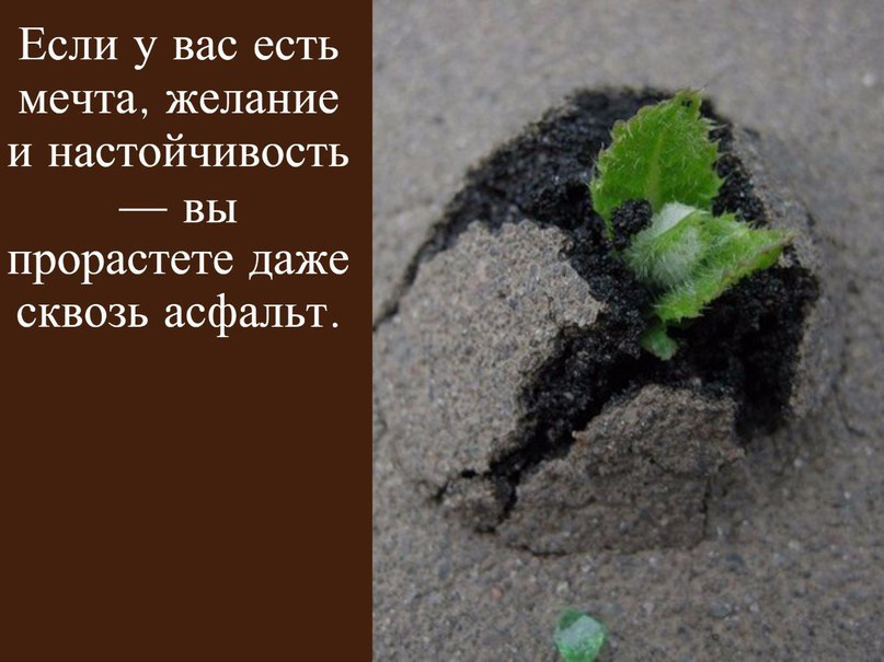    - 8  2015  04:30