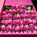 ���� ���������, �����-���������, 50 ��� - ��������� 12 ������� 2015 � ������ ���� ����������