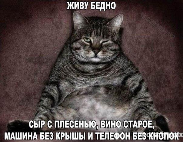     - 10  2015  18:01