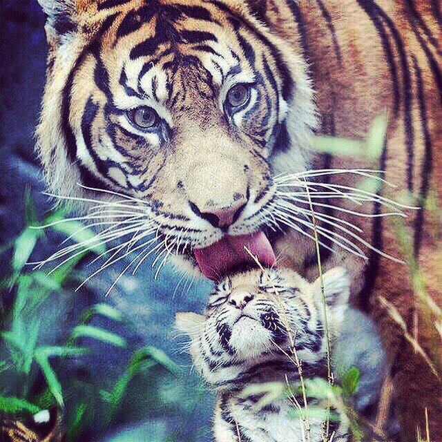    - 16  2016  19:51 - 2