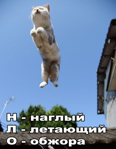 Смейся до слёз :D - 6 января 2016 в 14:07