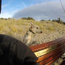  ,  , 48  -  29  2015    