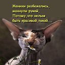 ���� �������, ������� - ��������� 22 ������ 2015 � ������ ������ ��������