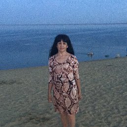 ���� �����, �����������, 66 ��� - ��������� 16 ������� 2016