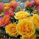 ���� Ani, ������ - ��������� 28 ������� 2015 � ������ ������...�