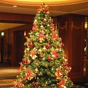 ���� � � � �, ������ - ��������� 31 ������� 2015 � ������ ������ ��������