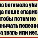 ���� ����, ������������, 51 ��� - ��������� 4 ������� 2016 � ������ �)))))�