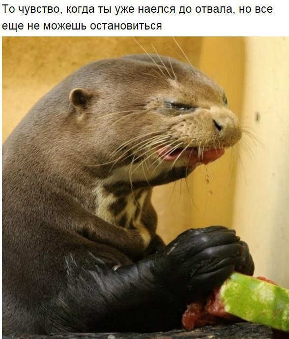  , .. - 7