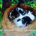 ���� Alekcandr, ������ - ��������� 29 ������ 2016 � ������ ���� ����������