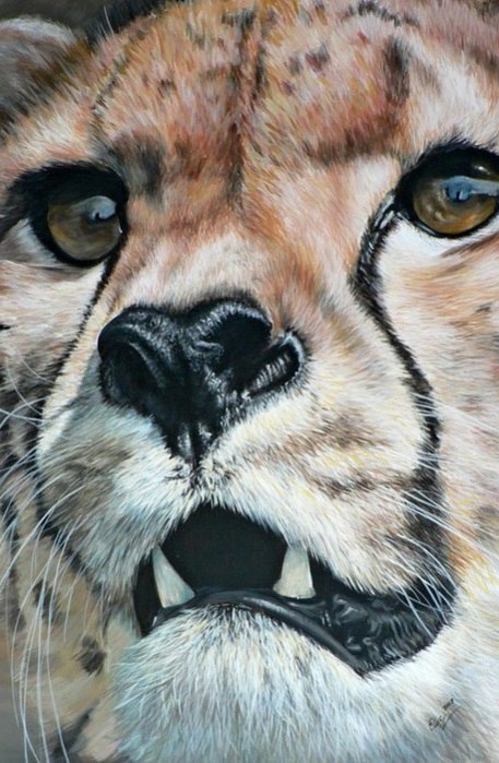  Elize Bezuidenhout. - 4