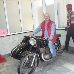 ������, �������, 51 ���