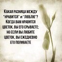 ���� �����, ����������� - ��������� 28 ������� 2015 � ������ ������ ��������