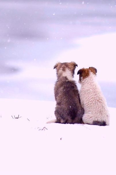 Art & Fun - 19  2016  04:37