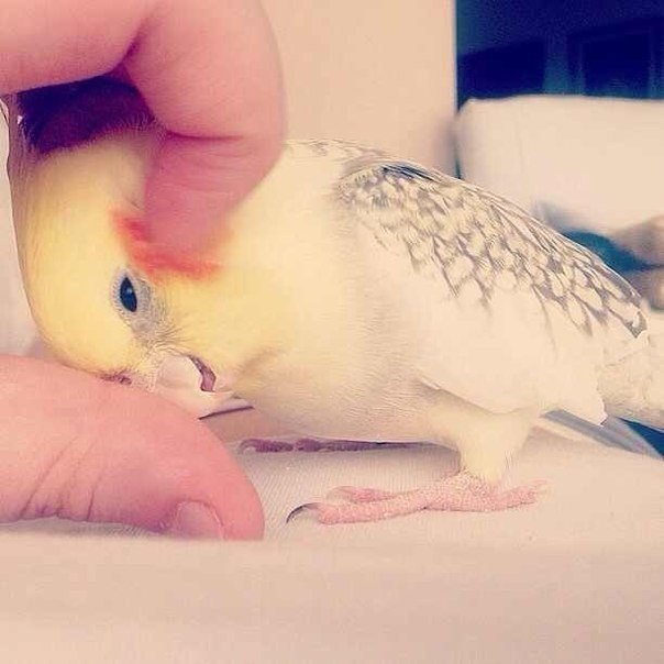  :)