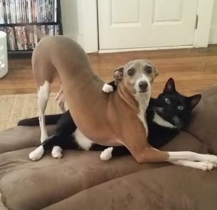 !   ,    !