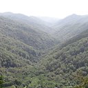 ���� Lina, �������� - ��������� 25 ������ 2015 � ������ �������