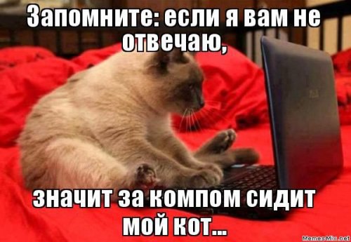  )) - 27  2016  11:29